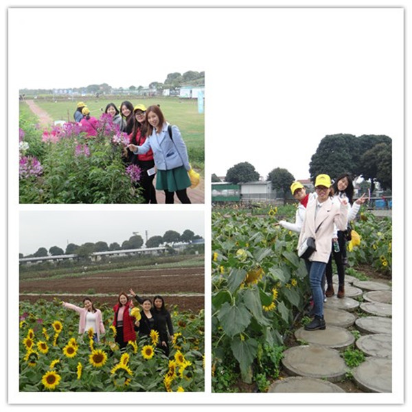 腾博会官网 - 诚信为本,专业服务!